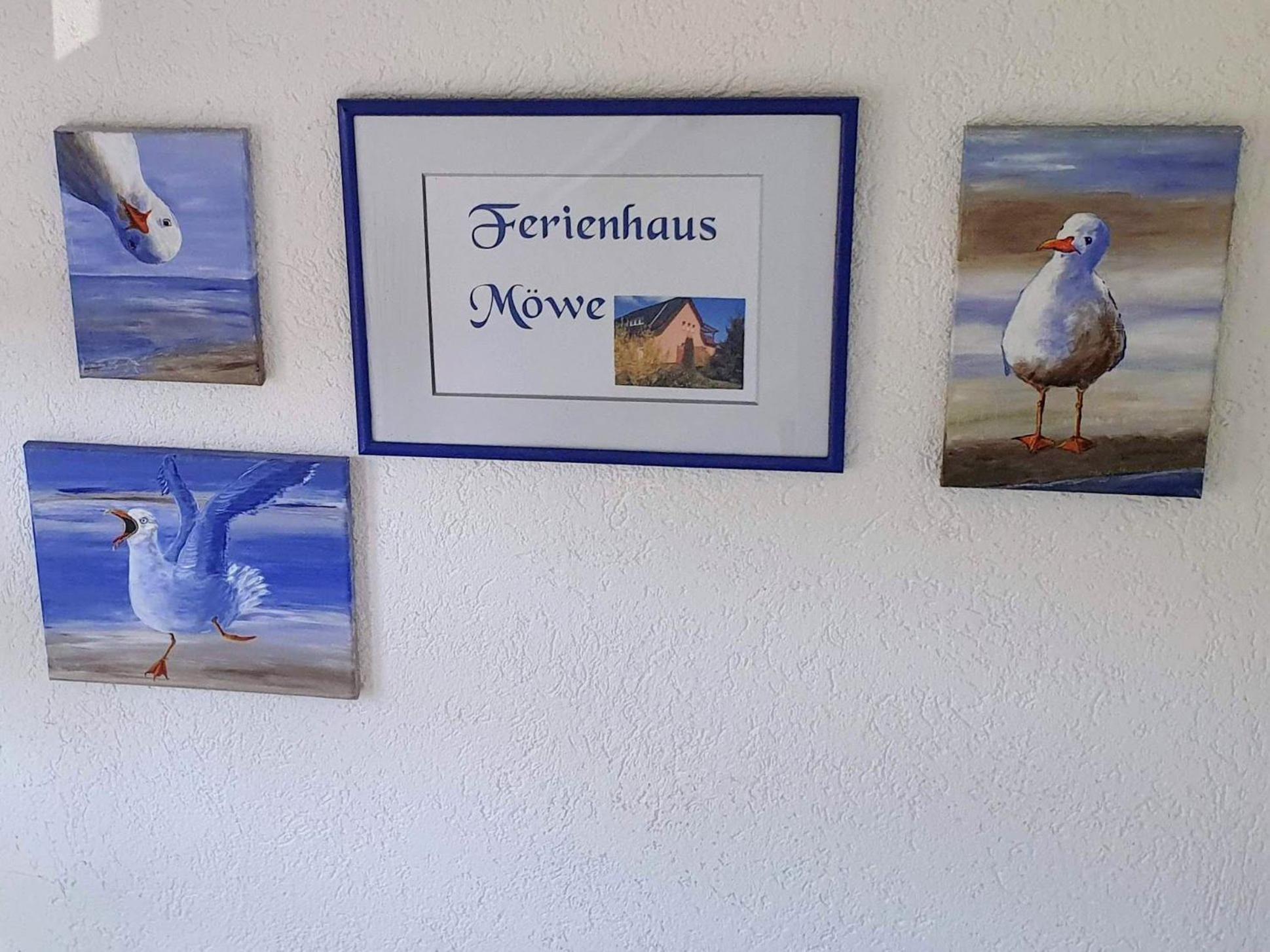 Ferienhaus Moewe Hanshagen  Buitenkant foto